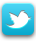 logo_twitter