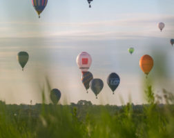 cropped-IMG_4109-scaled-1